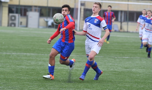 Barba in azione (©Del Gobbo)