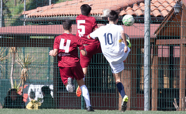 Unipomezia (©Melis)