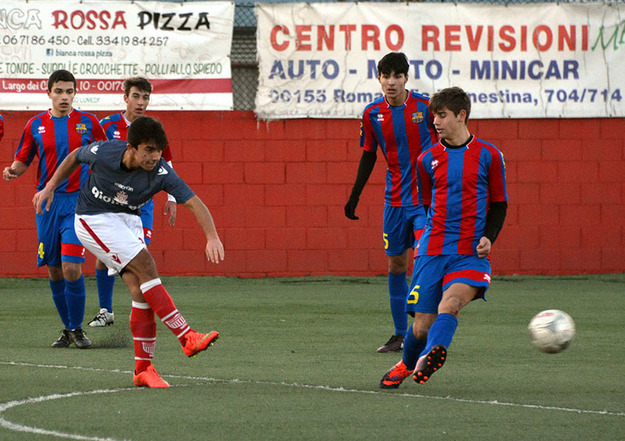 Coccia in azione ©Lori