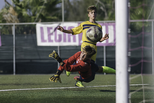 Legnante (©Shotsport)