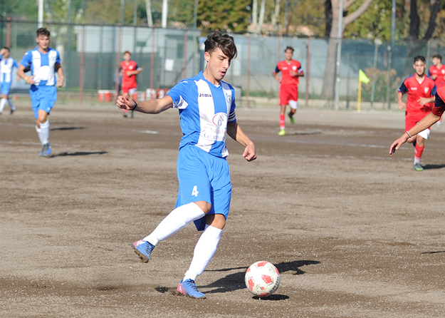 Vis Aurelia ©Del Gobbo
