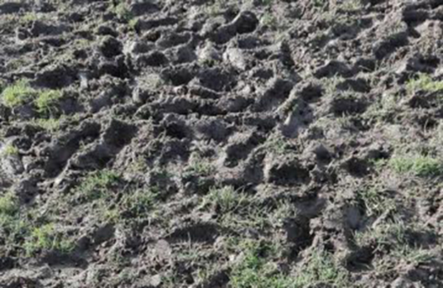 Le condizioni del terreno di gioco di Ceccano
