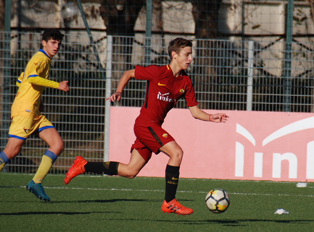 Bove in azione (©Stefania Torrisi)