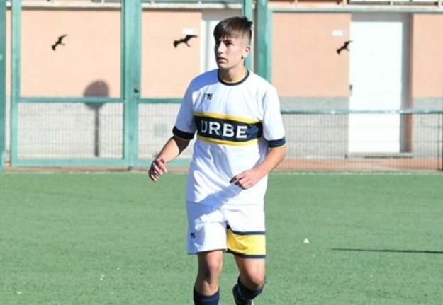 Pansera ©Lori