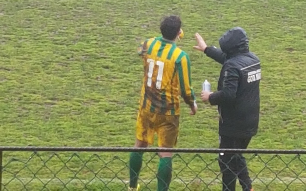 Soreca mentre riceve indicazioni