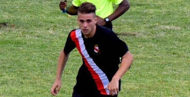 Tolfa