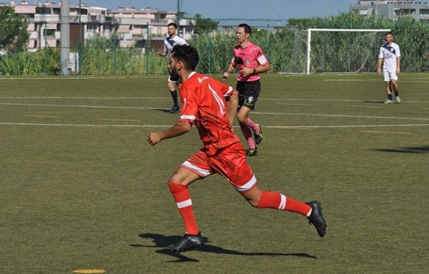 Gallo (©De Luca)