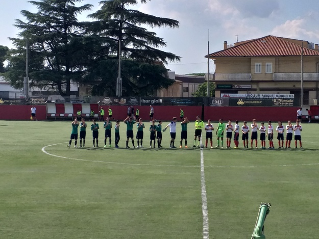 Grifone Monteverde e Ladispoli (GazReg)