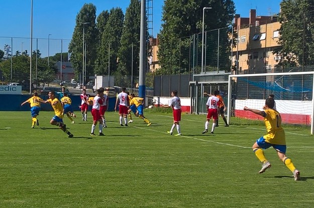 Esultanza Accademia Frosinone