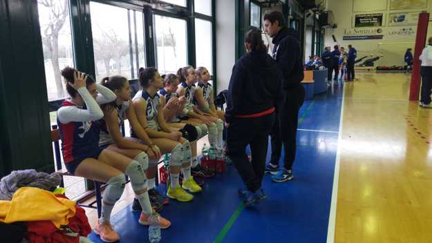 Cicola e le sue ragazze