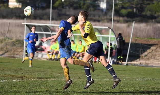 Lupa Roma in azione ©Cippitelli