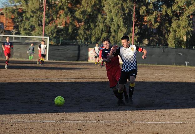 Honey Soccer ©DelGobbo