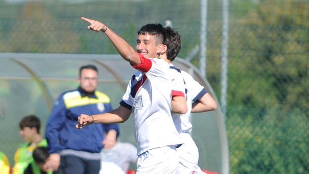 Coccia, Grifone Monteverde ©Del Gobbo