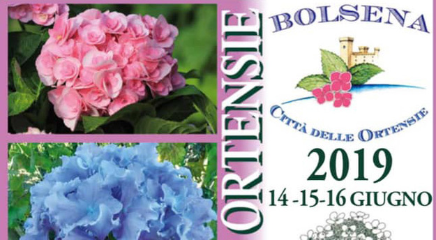 A Bolsena c&apos;è la Festa delle Ortensie